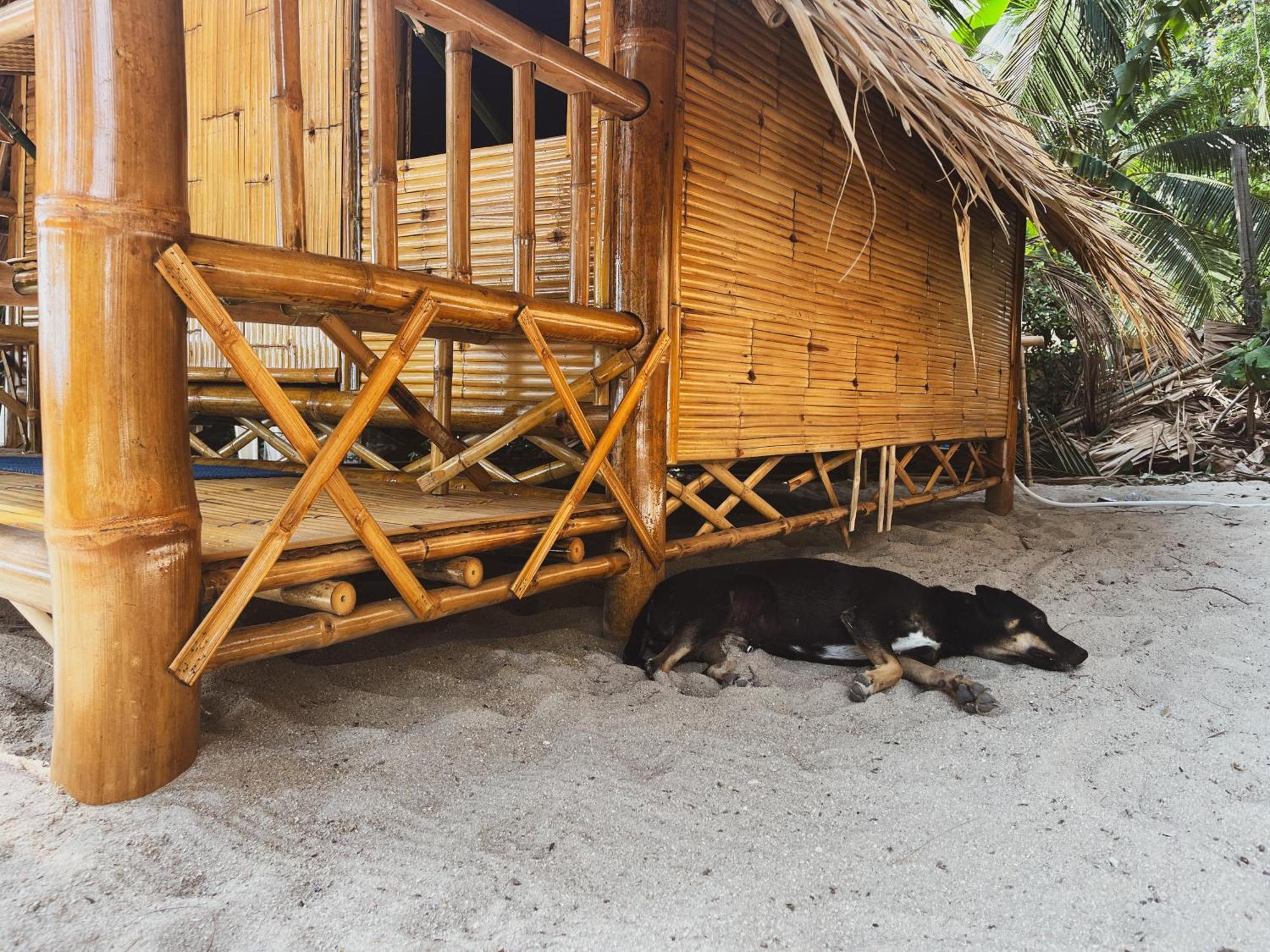 Echo Beach Hostel Ban Tai Exterior photo